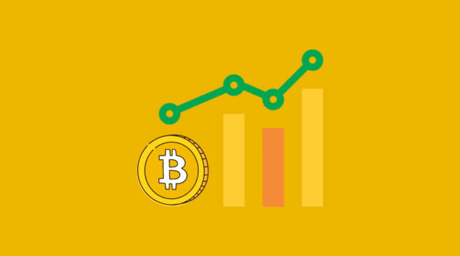 Cryptonewzhub.com Internet – Detailed Guide