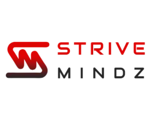 Strive Mindz Nearshore Software Development Company