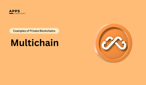 What Is Private Blockchain? Examples, Use Cases & Platforms