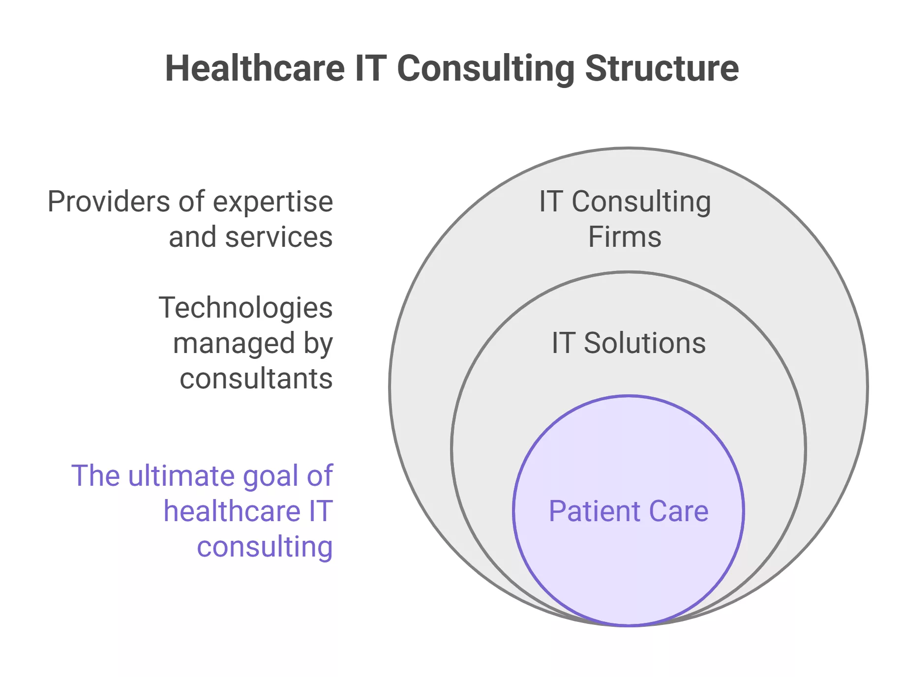 Healthcare IT Consulting