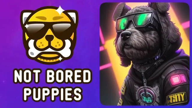 Best Hamster Kombat Alternative App