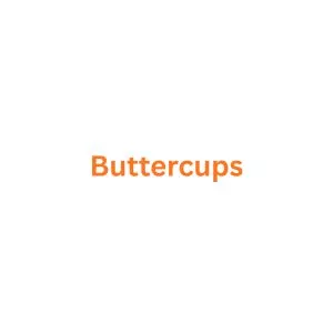 Buttercups