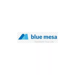 Blue Mesa Interactive