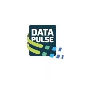 DataPulse Innovations