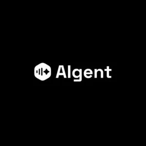 AIgent Systems