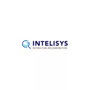 Intellisys Hungary
