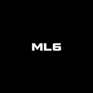 ML6