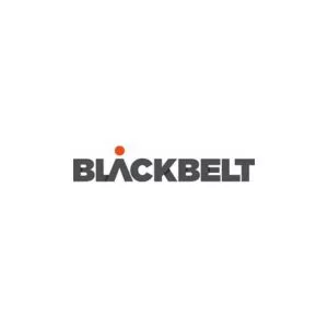 BlackBelt Technology