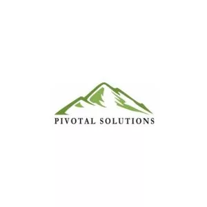Pivotal Solutions