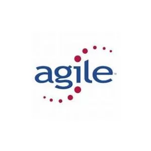Agile Information Technology
