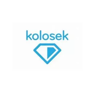 Kolosek