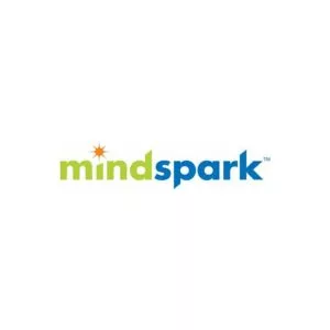 MindSpark Interactive