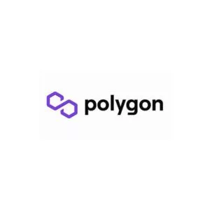 Polygon Technology