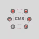 CMS Features