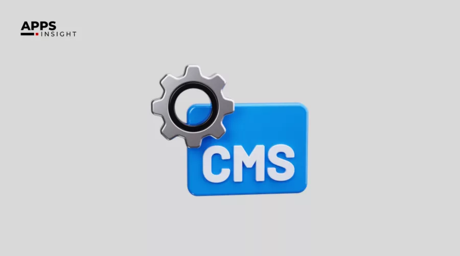 What to Consider When Choosing a Custom CMS Development Company?