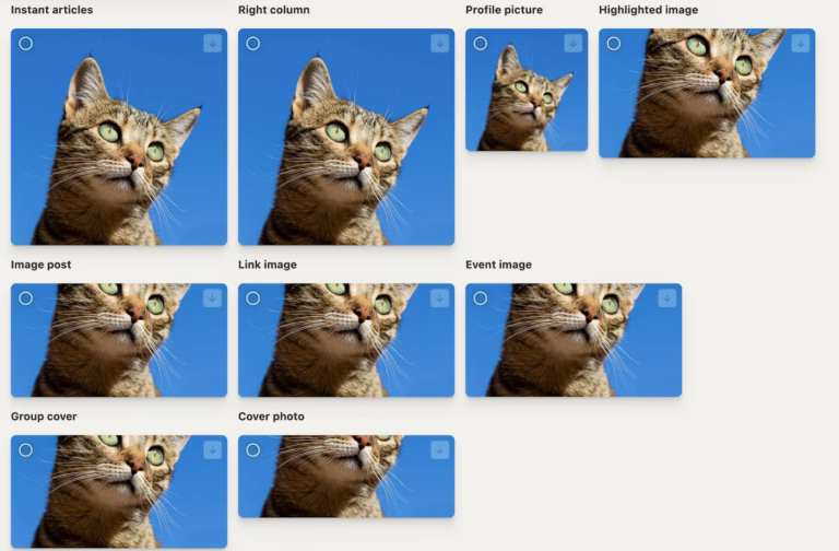 Historical Pixelhunter interface showing a cat image automatically cropped for different social media sizes